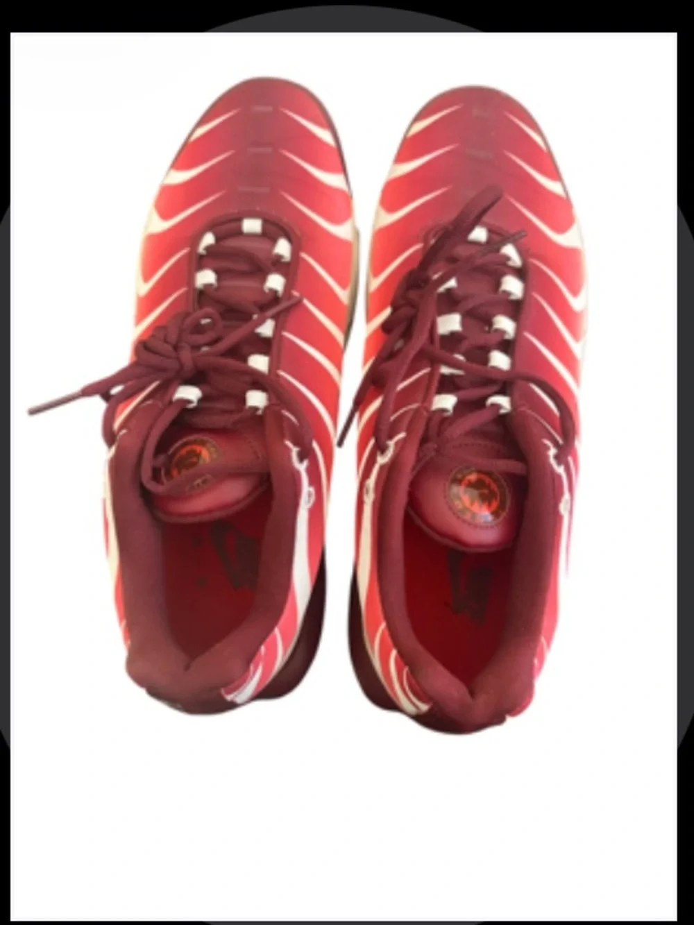 Nike Men’s air max plus”after the bite” shoes
